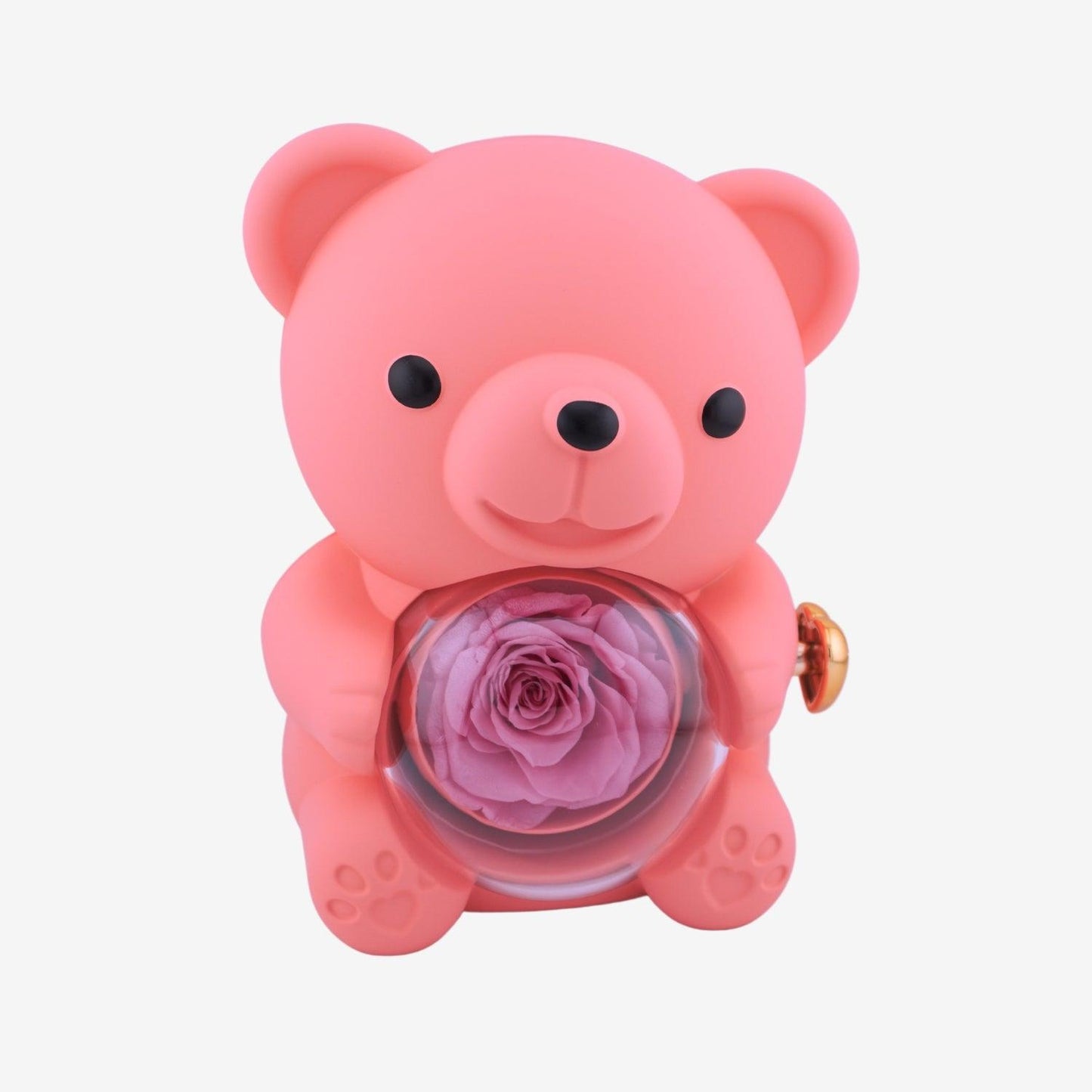 Eternal Rose Bear with Engraved Necklace