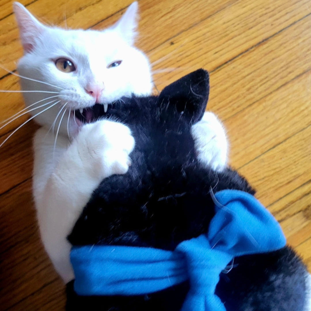 Original Wrestler Glove Puppet