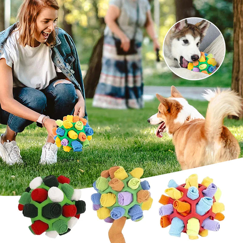 Pet sniffing ball
