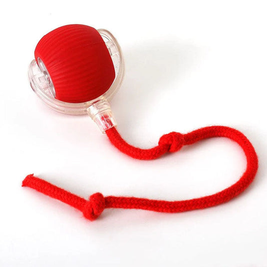 Active Rolling Ball with Tail for Dogs