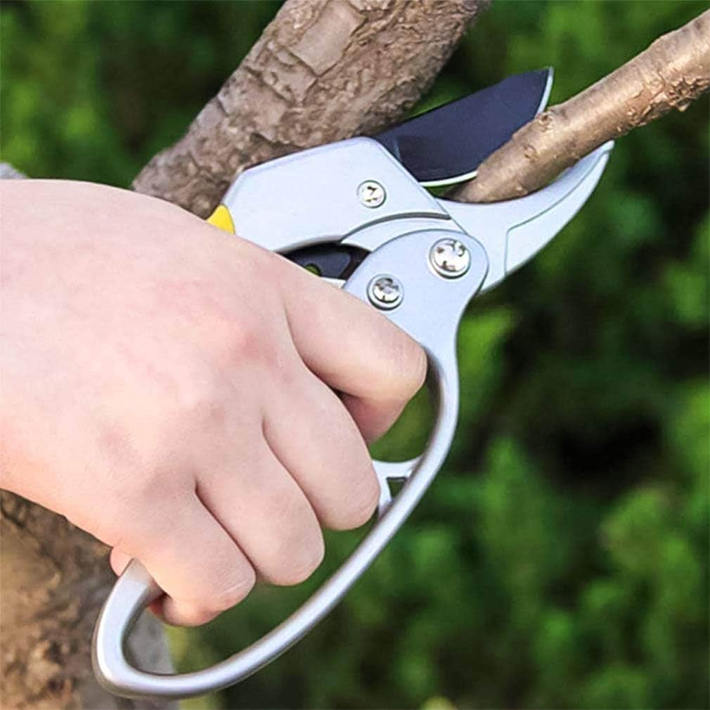 Ratchet Pruning Shear