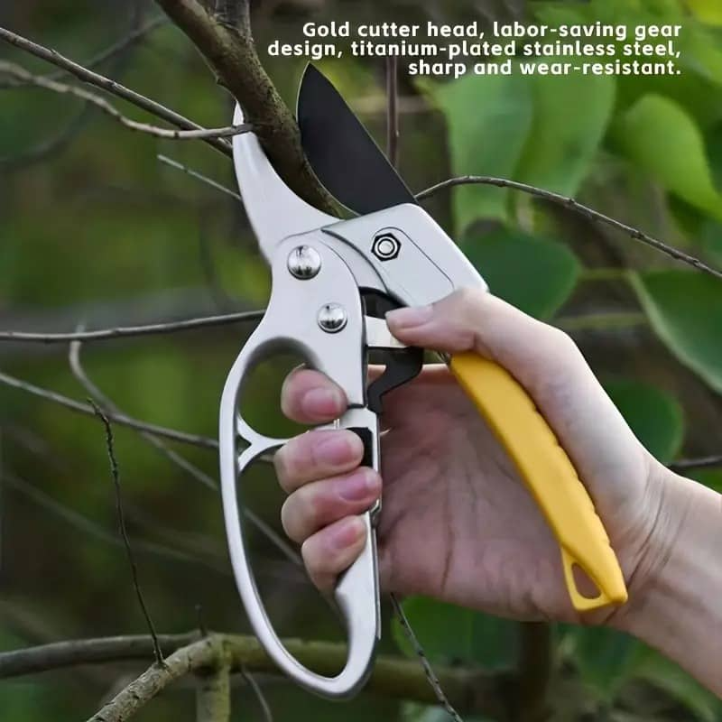 Ratchet Pruning Shear