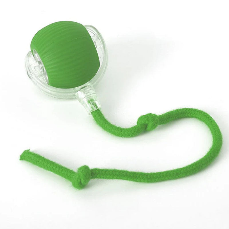 Active Rolling Ball with Tail for Dogs