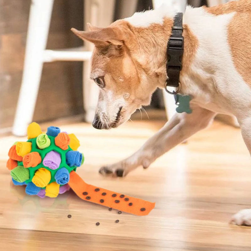 Interactive Treat Game