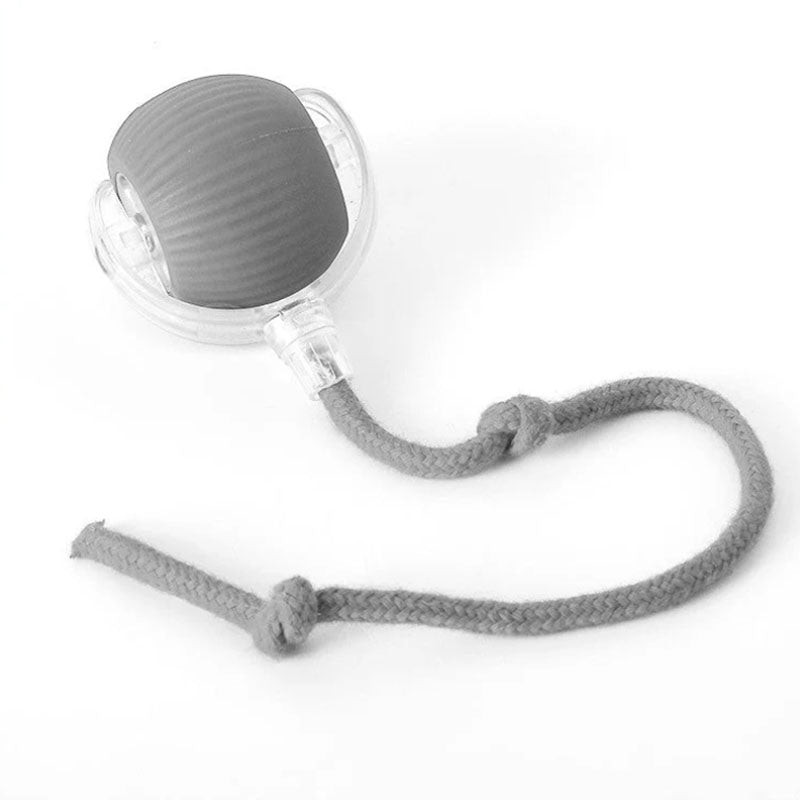 Active Rolling Ball with Tail for Dogs