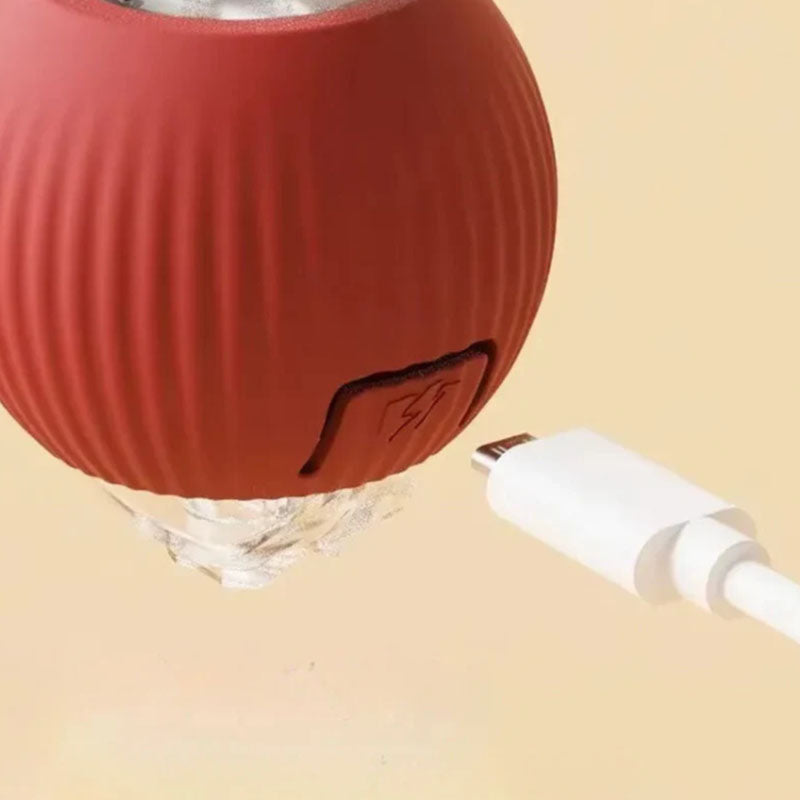 Active Rolling Ball with Tail for Dogs