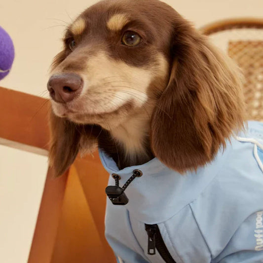 CITY ELITE FC WATERPROOF JACKET