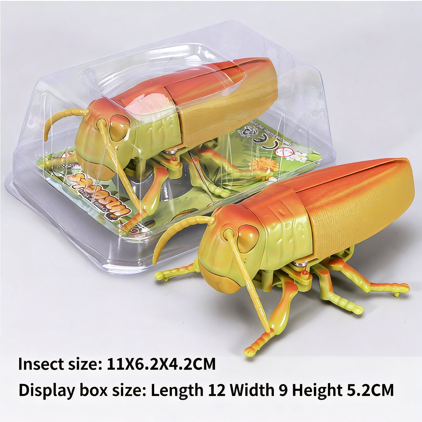 Beetle simulation clockwork toy