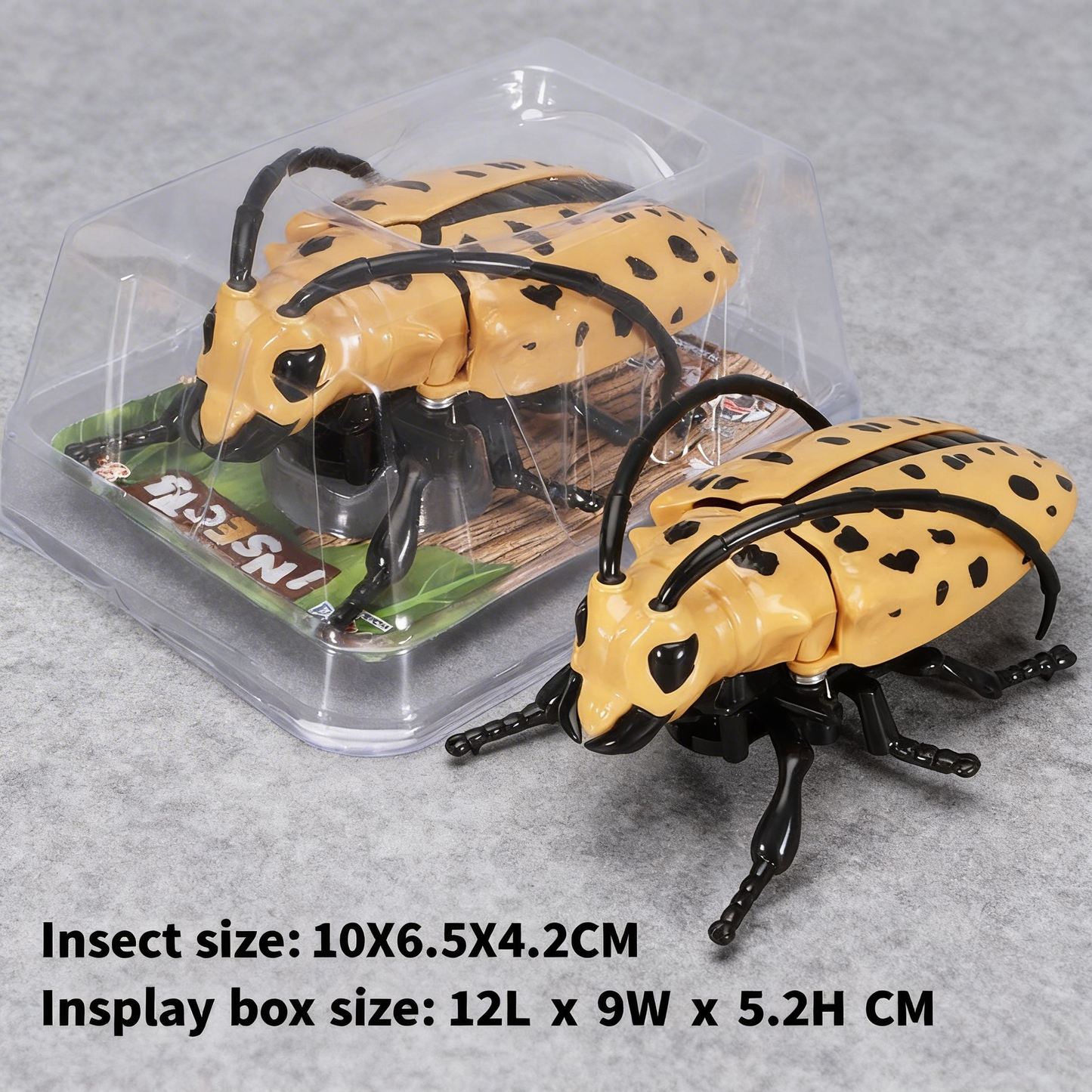 Beetle simulation clockwork toy