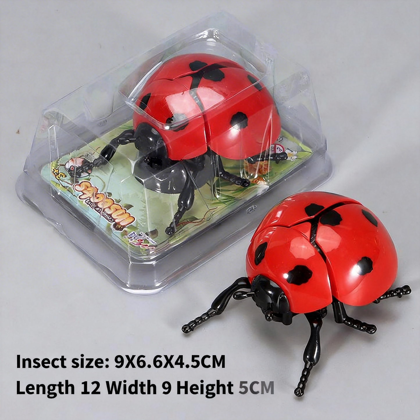 Beetle simulation clockwork toy
