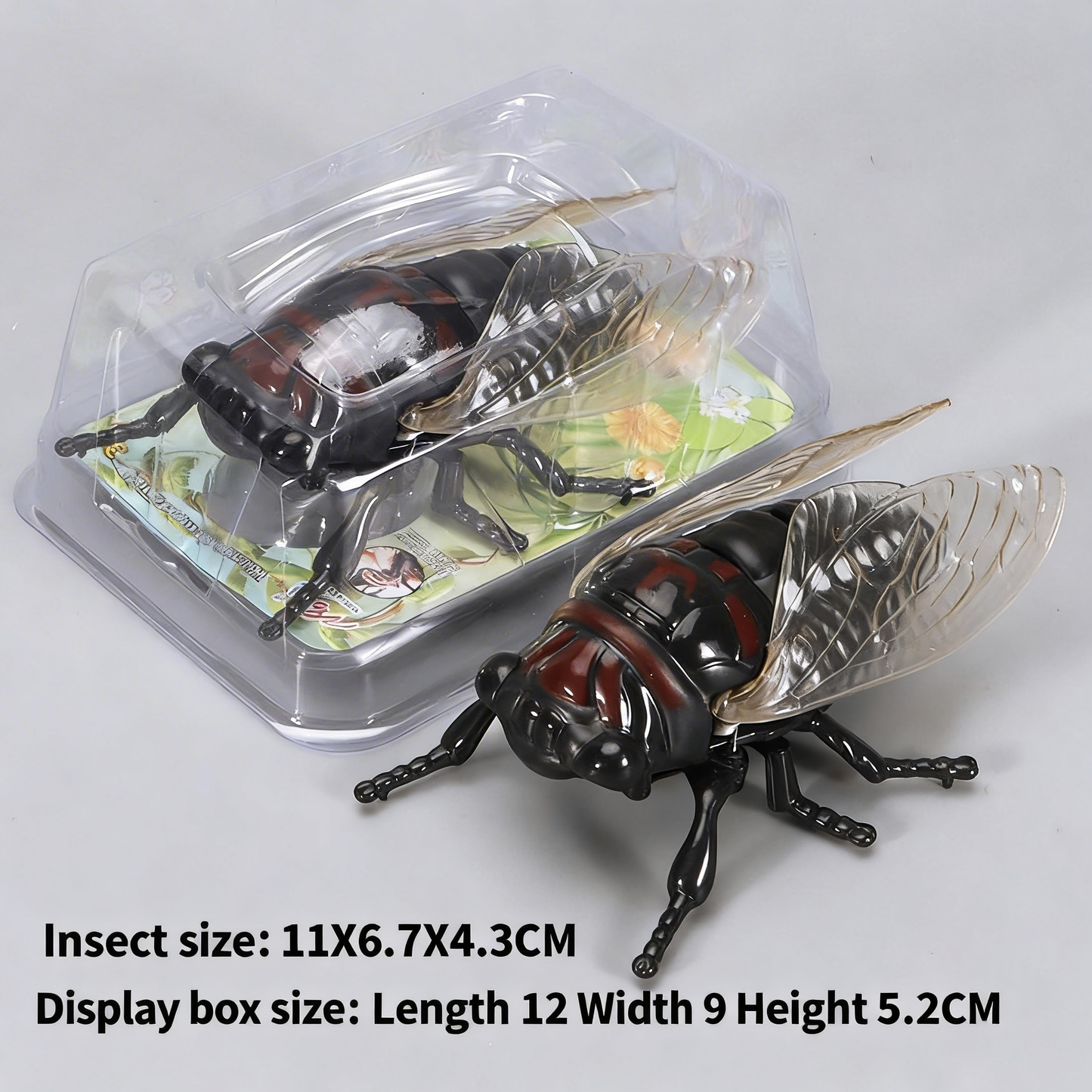 Beetle simulation clockwork toy