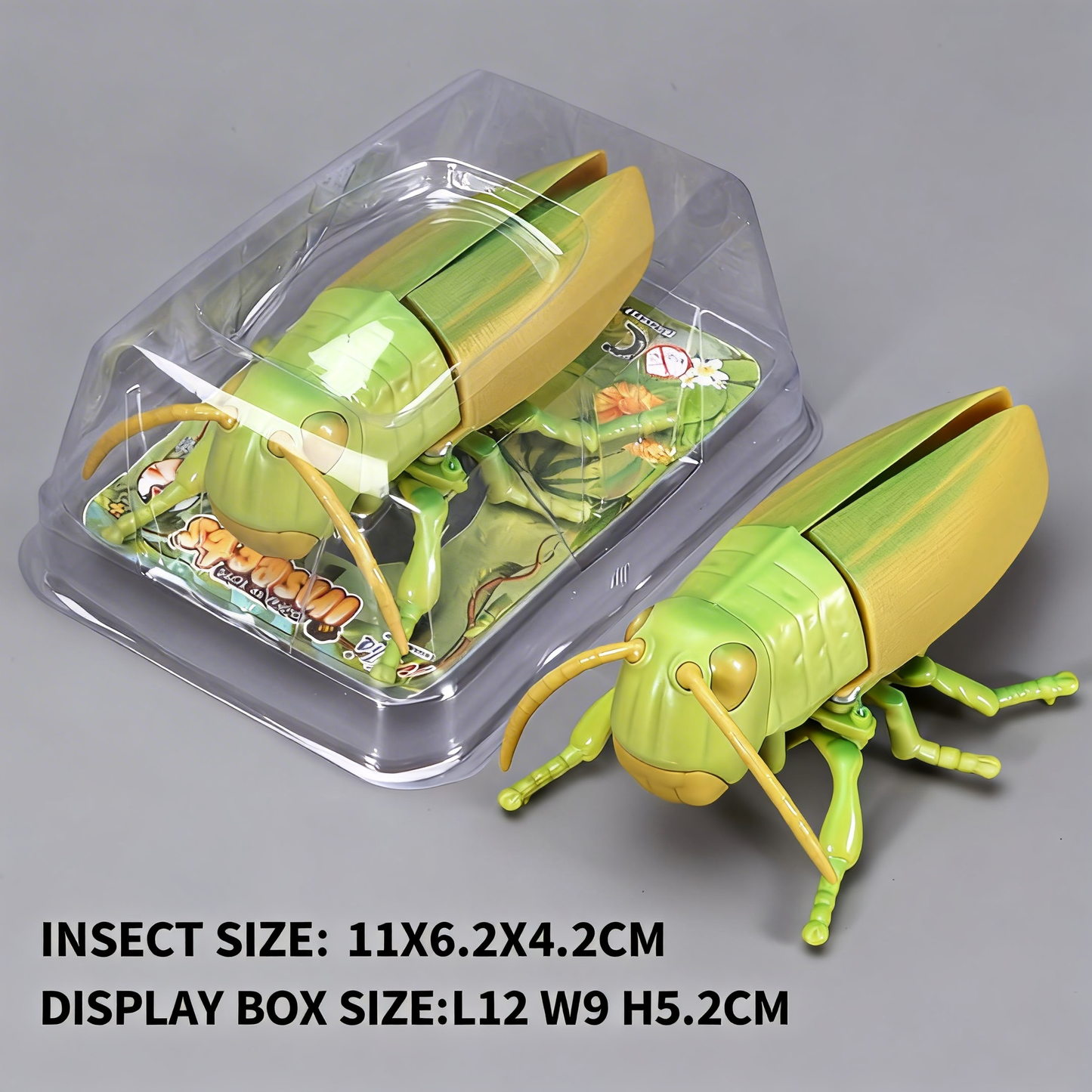 Beetle simulation clockwork toy