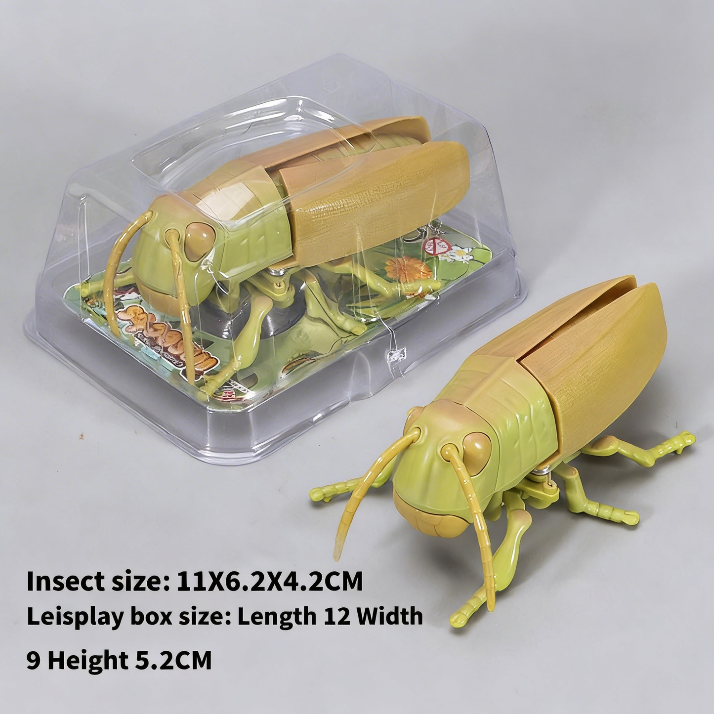 Beetle simulation clockwork toy